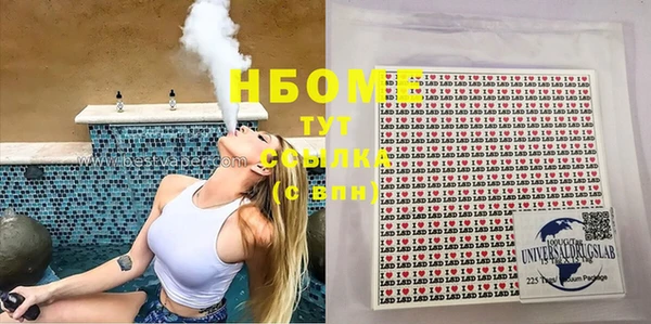 сатива Вяземский