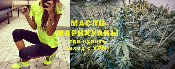 сатива Вяземский