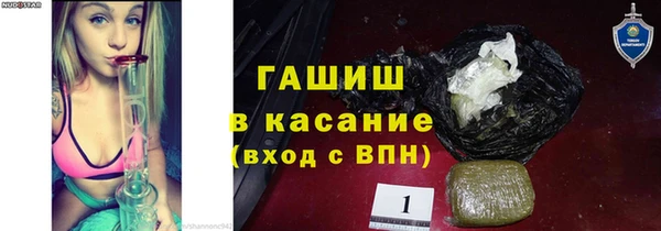 сатива Вяземский