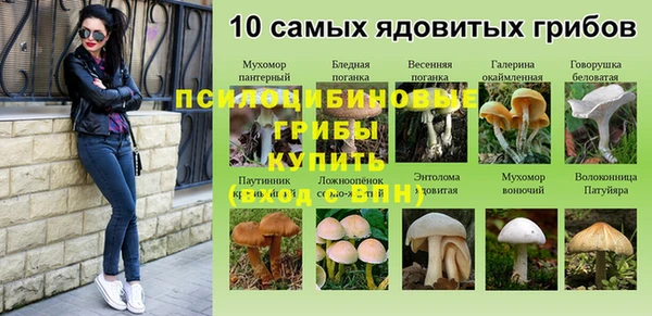 кристаллы Данков