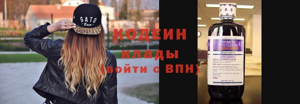 сатива Вяземский