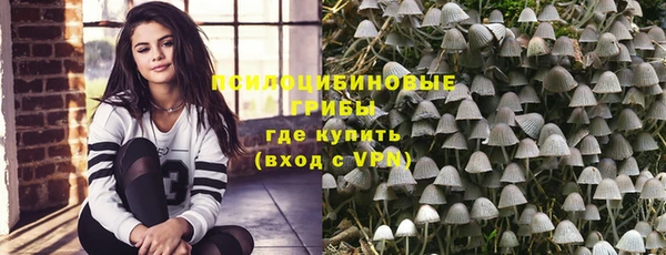 мдпв Вязники