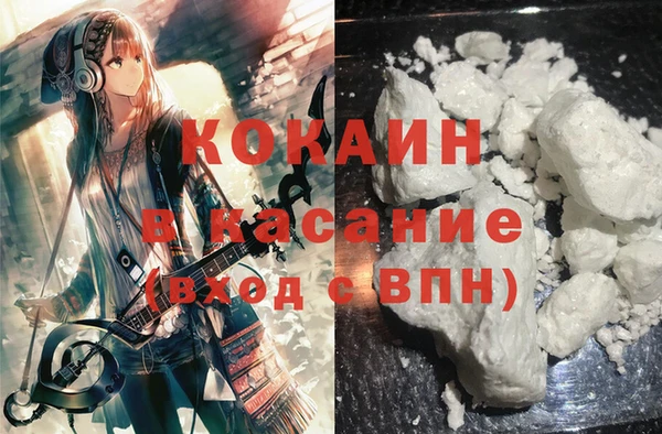 сатива Вяземский