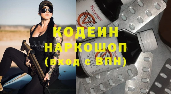 сатива Вяземский