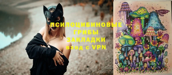 мдпв Вязники