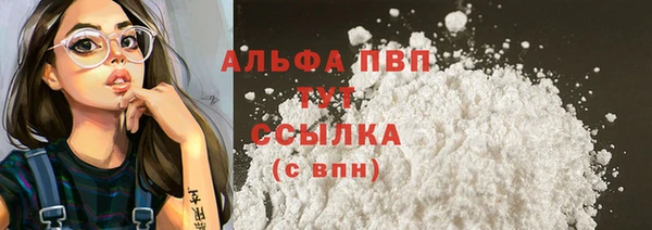 сатива Вяземский