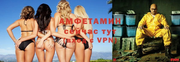 сатива Вяземский