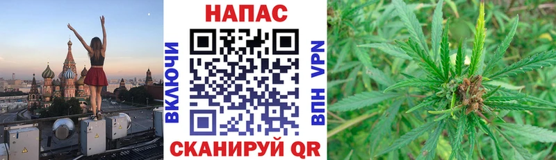 KRAKEN сайт  Гусь-Хрустальный  Шишки марихуана конопля 